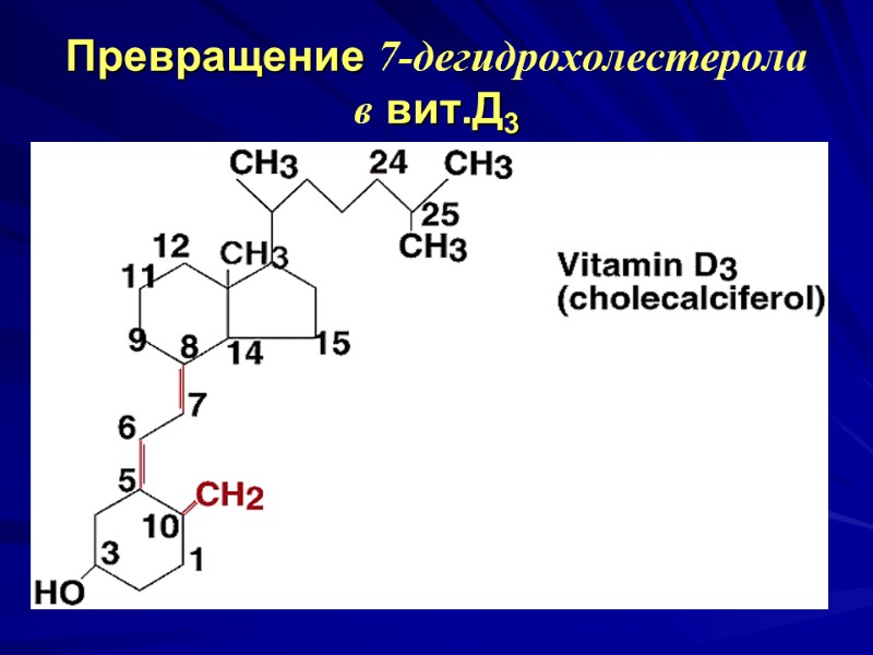 Превращение 7-дегидрохолестерола в вит.Д3 Превращение 7-дегидрохолестерола в вит.Д3